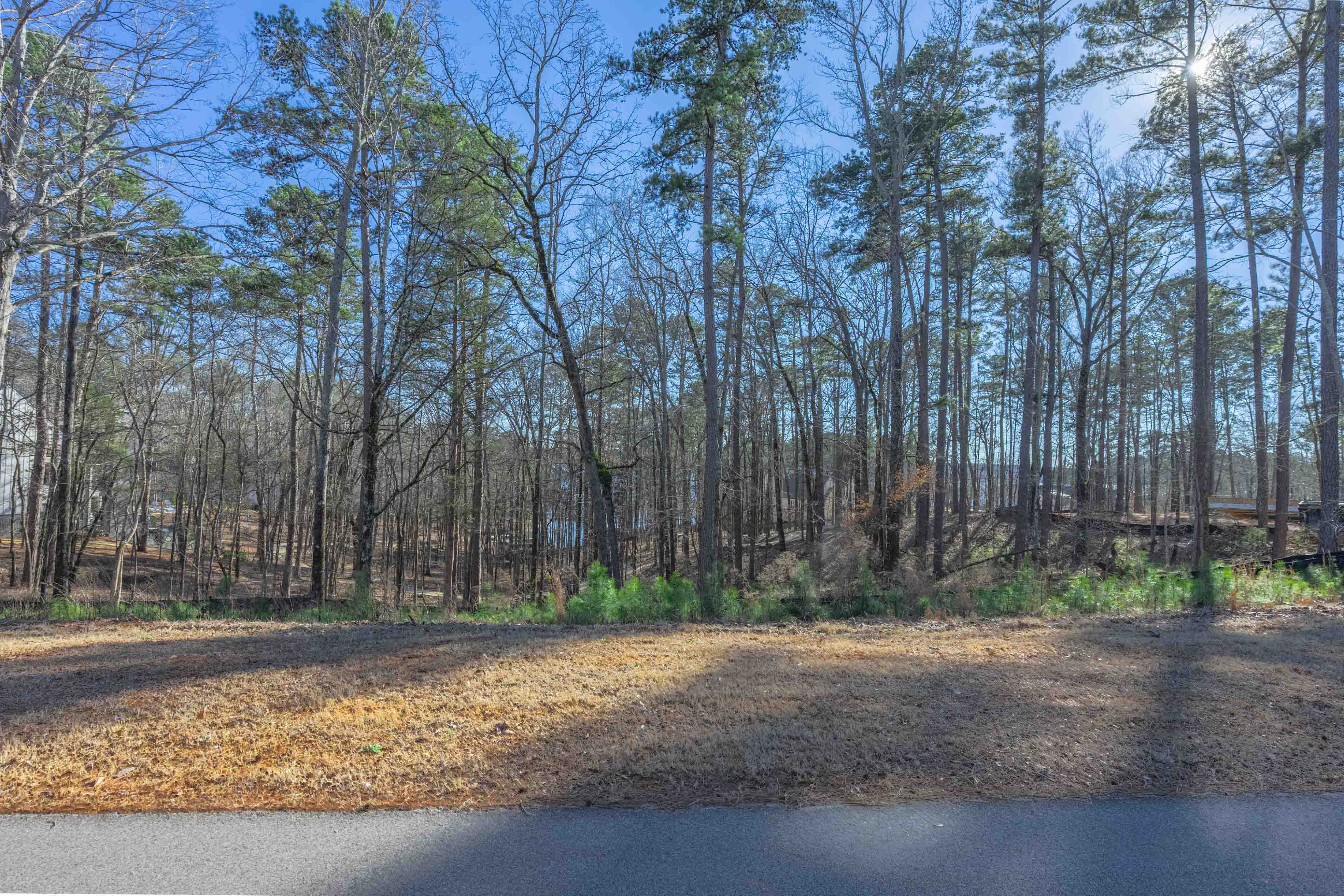 1261 Jumping Rock Drive image 2